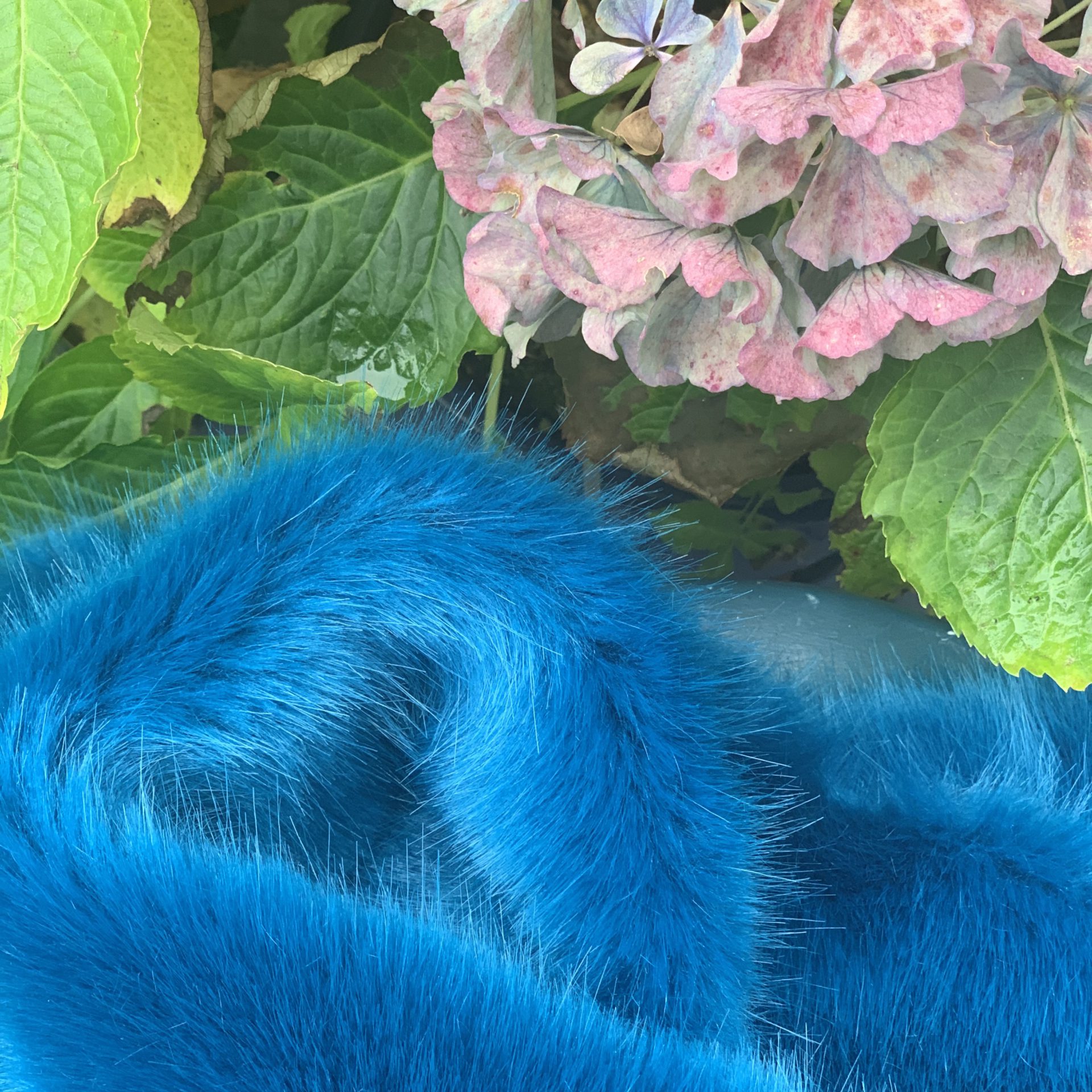 Faux fur extra-long scarf in bright teal - Cornflower Blue